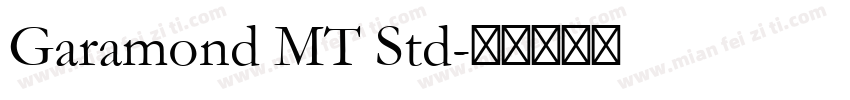 Garamond MT Std字体转换